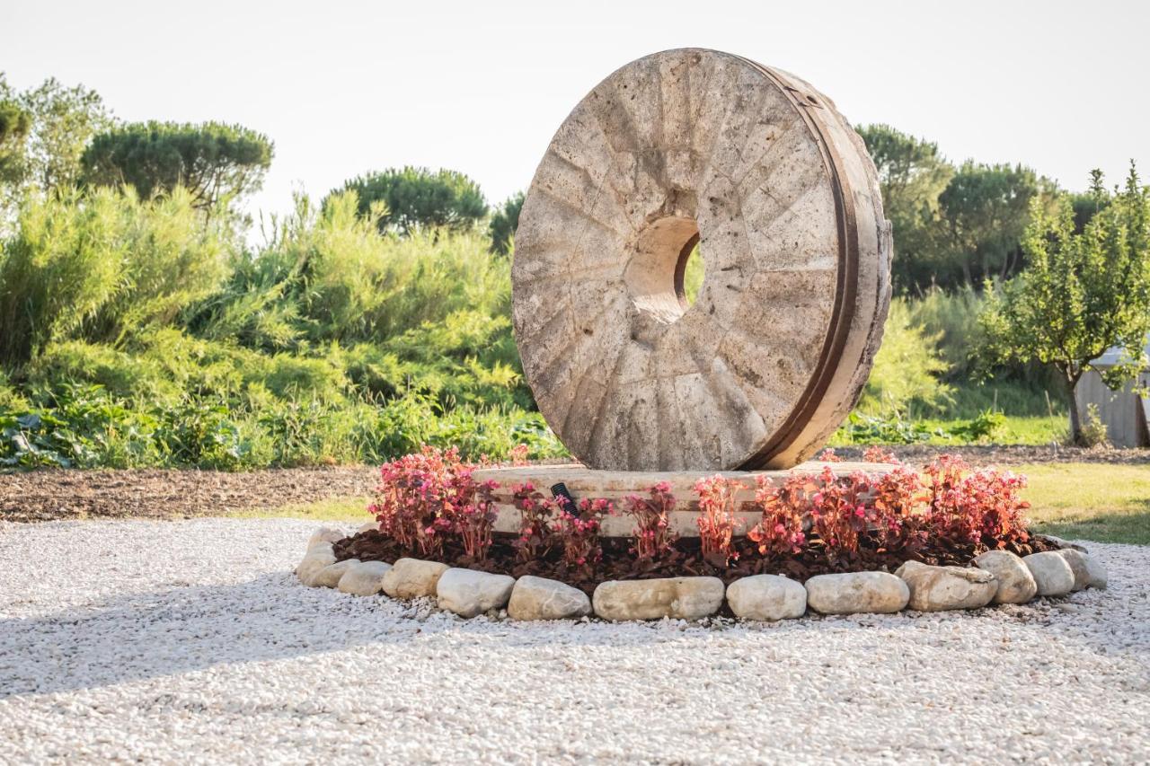 La Dimora Del Mugnaio Bed and Breakfast San Giovanni In Marignano Buitenkant foto